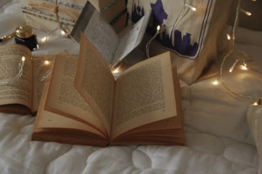 How to be a Library Advocate – SJSU